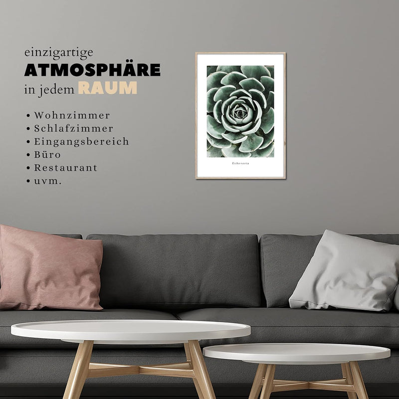 STYLER Rahmenbild Echeveria | Artbox Wandbild | Bild mit Holz Rahmen Optik Framepic | Pflanze aus Me