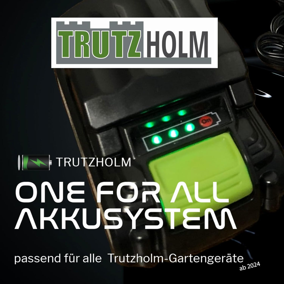 TRUTZHOLM Akku Fugenreiniger 20V inkl. Akku 2.0Ah wechselbare Fugenbürsten Teleskopstiel