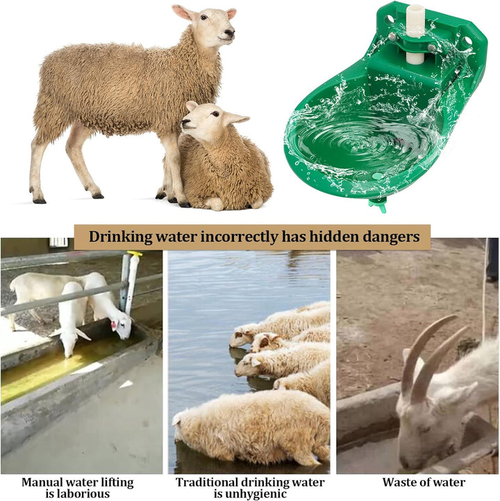 Automatische Tränkebecken für Schafe, ViehträNken mit Abflusslöchern, Automatische Wasserversorgung