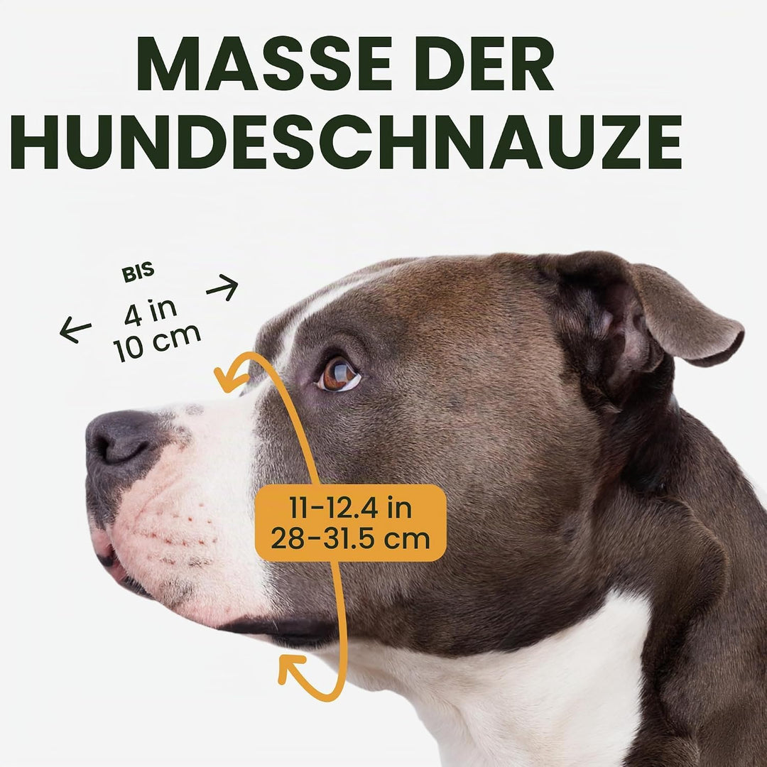 BRONZEDOG Pitbull Maulkorb für Hunde, atmungsaktiv, Metallkorb für grosse Hunde, Amstaff Staffordshi