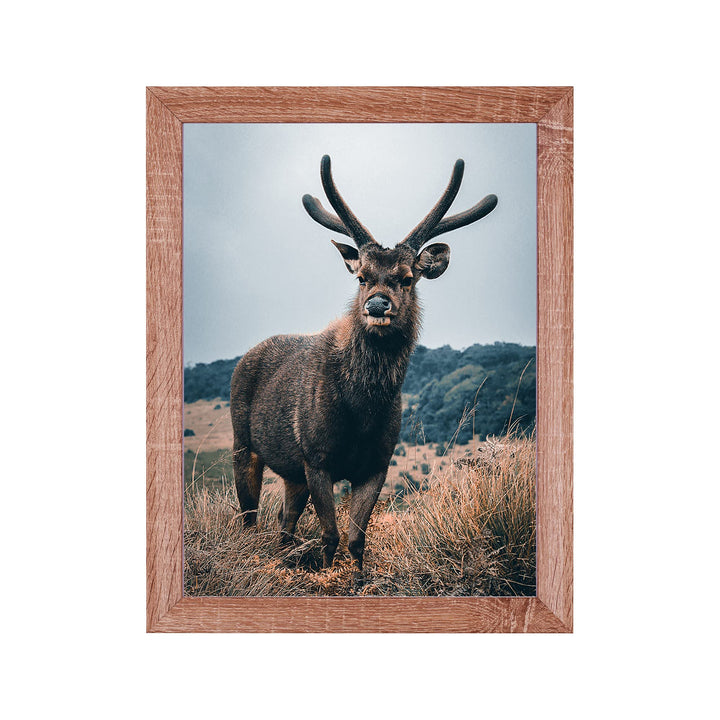 Rahmendesign24 Posterrahmen Rio 50x70 Sonoma Eiche Fotorahmen, Wechselrahmen, Bilderrahmen, 50x70 So