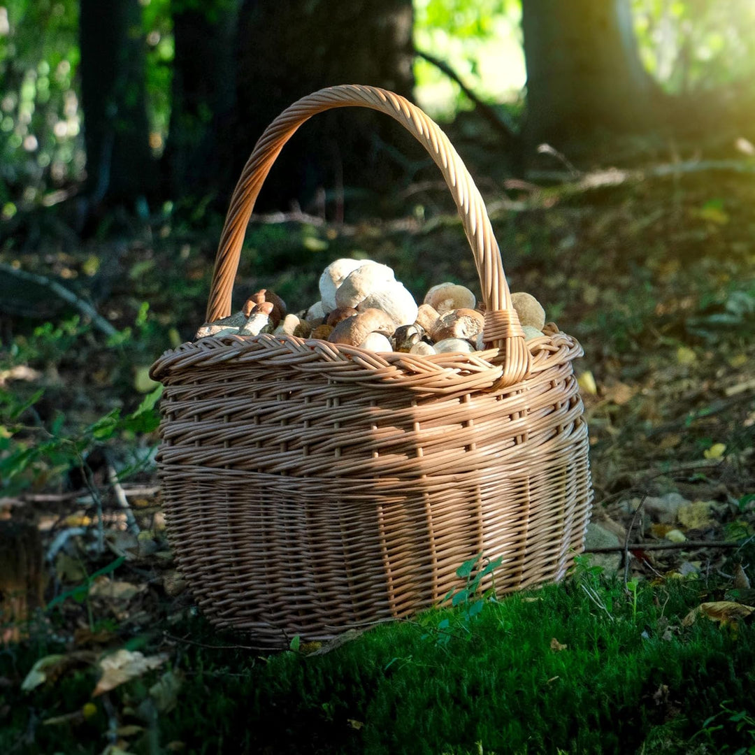 KADAX Weidenkorb für Pilze, Ovaler Korb zum Einkaufen, robuster Picknickkorb mit dem Henkelgriff, Fl