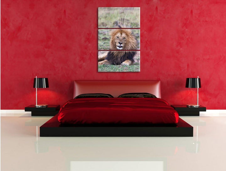 Pixxprint prächtige Löwe in der Savanne als Leinwandbild/Grösse: 3 Teilig (120x80) cm/Wandbild/Kunst