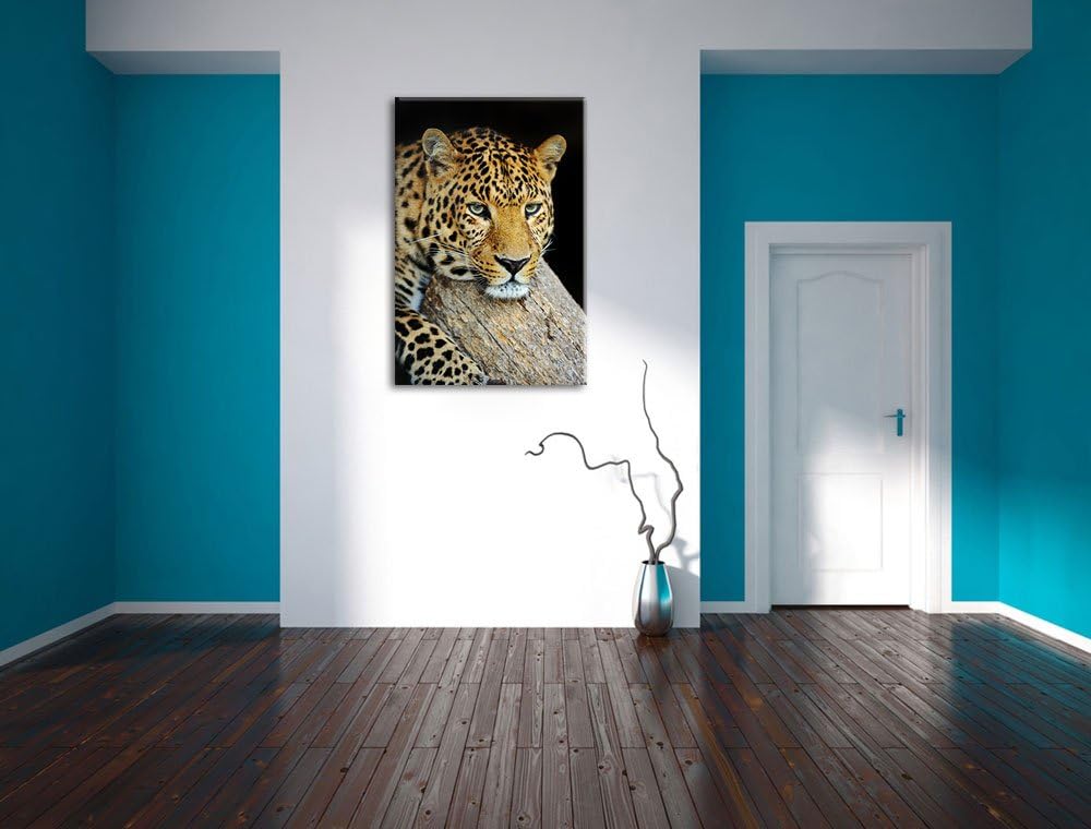 Pixxprint Ruhiger Leopard Format: 100x70 auf Leinwand, XXL riesige Bilder fertig gerahmt mit Keilrah