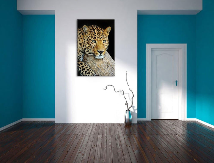 Pixxprint Ruhiger Leopard Format: 100x70 auf Leinwand, XXL riesige Bilder fertig gerahmt mit Keilrah