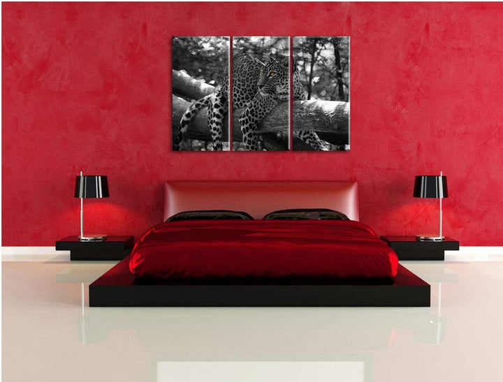 Pixxprint liegender Leopard auf AST als Leinwandbild | Grösse: 3 Teilig (120x80) | Wandbild| Kunstdr