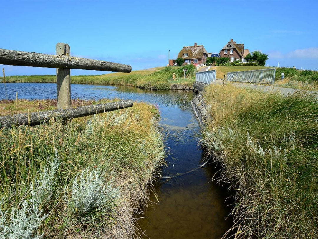 CALVENDO Puzzle Hallig Hooge 1000 Teile Lege-Grösse 64 x 48 cm Foto-Puzzle Bild von Sarnade, 1000 Te