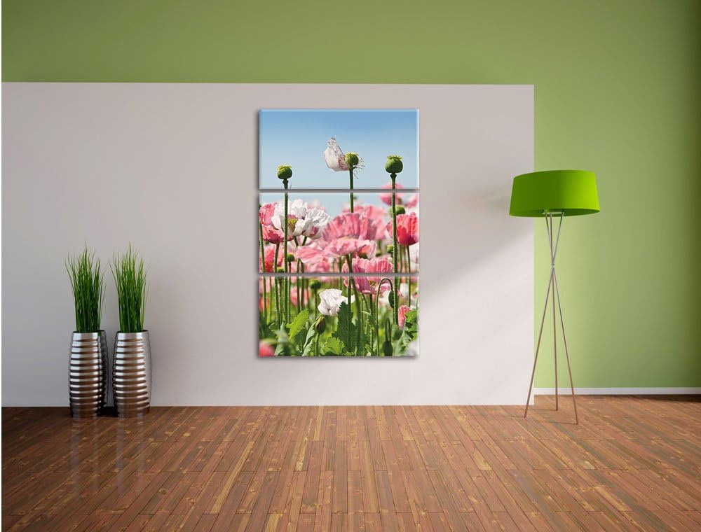 Pixxprint Blumenwiese Mohnblumen als Leinwandbild/Grösse: 3 Teilig (120x80 cm) cm/Wandbild/Kunstdruc