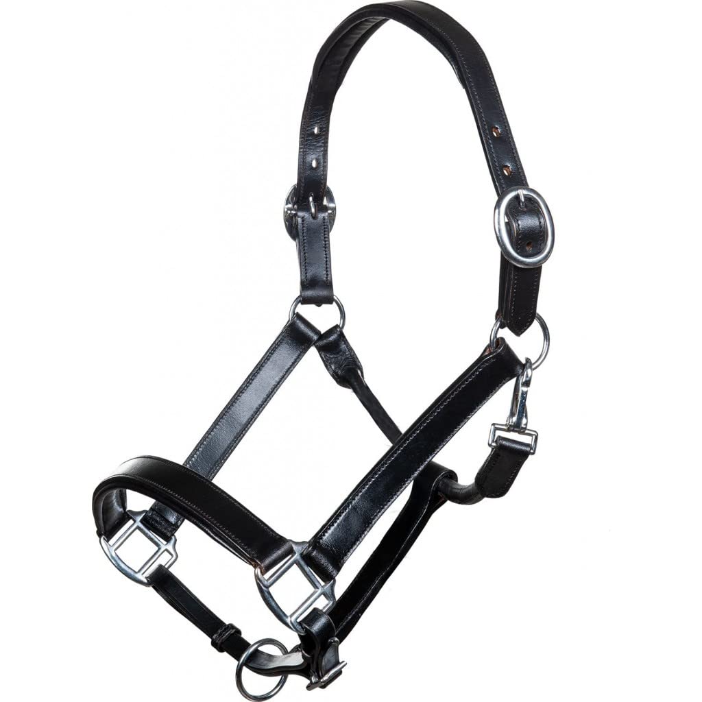HKM Economic Lederhalfter 9100 Schwarz Pony