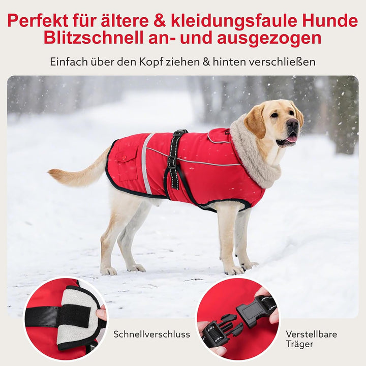 Hundemantel Winter, Hundemantel Wasserdicht für Kleine Hunde mit Verstellbaren Schultergurten, Warm