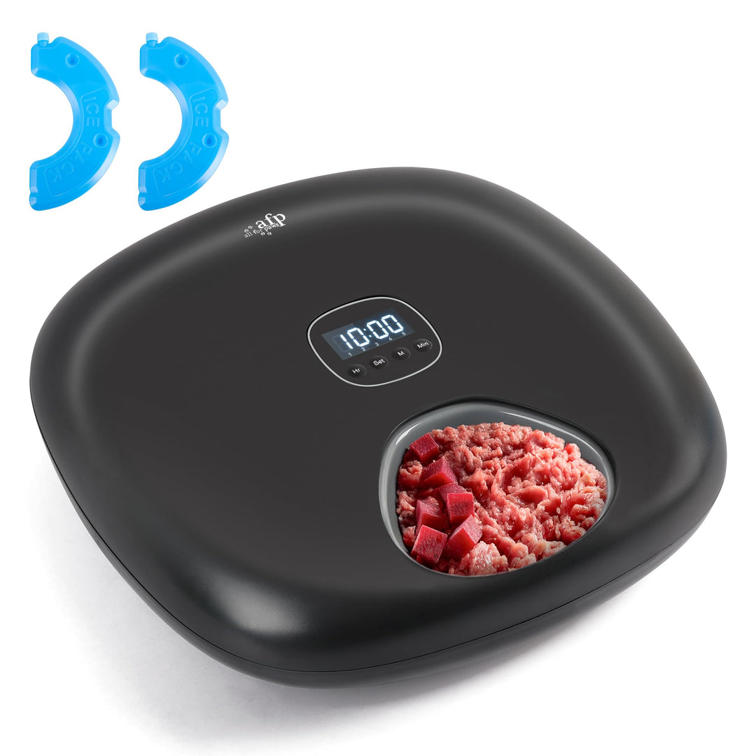 All FÜR Pfoten Automatische Katzenzufuhr für Nassfutter, 6-Mahlzeiten-Tierfutter-Spender mit 2-EIS-P