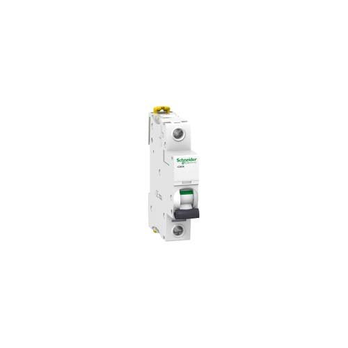 iC60N 1P 50A D