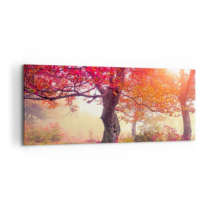 Wandbilder Dekoration Wohnzimmer Baum Natur Wiese Panorama Bilder auf Leinwand 120x50cm Leinwandbild
