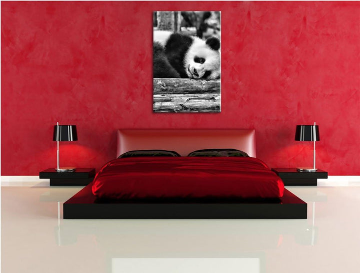 Pixxprint Monocrome, süsser Kleiner Pandabär, Format: 100x70 auf Leinwand, 100x70