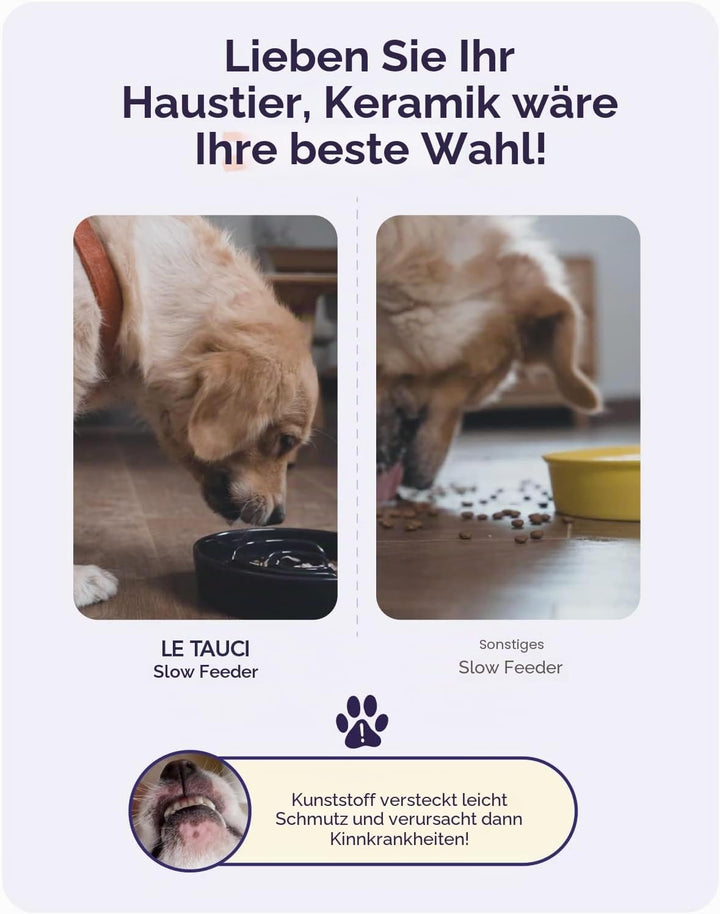 LE TAUCI Hundenapf aus Keramik, Antischlingnapf für Mittelgrosse und Kleine Hunde, Langsam Fressen u