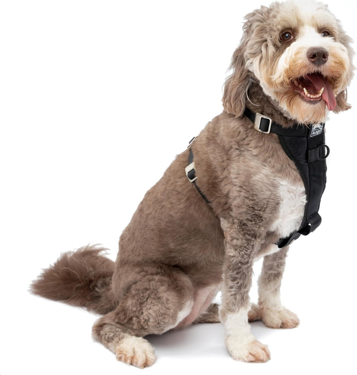 Kurgo Tru-Fit Hundegeschirr, Crash-Test-erprobtes Auto-Sicherheitsgurt, Für Hunde von 23 bis 36 kg,