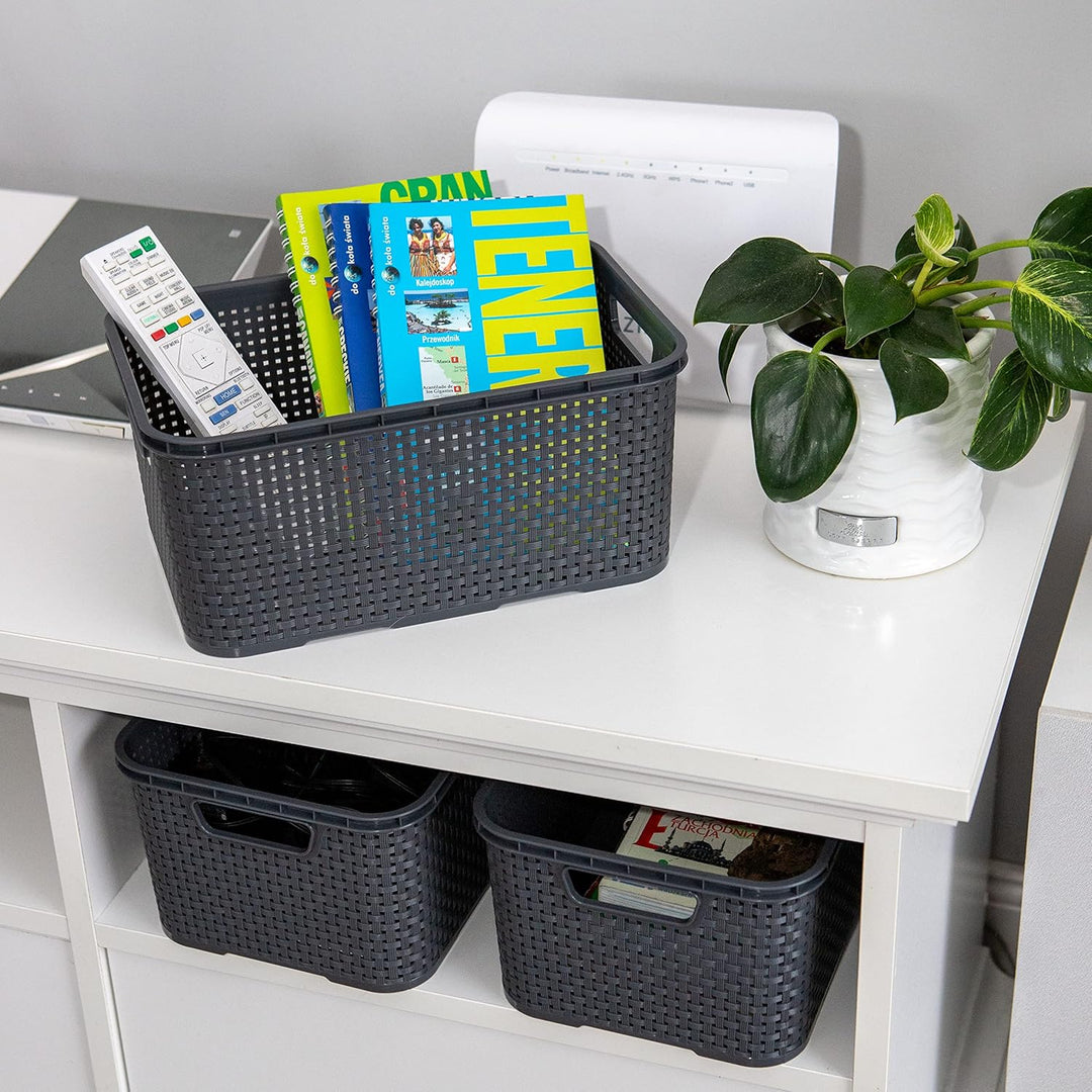 BranQ - Home essential Korb in Rattan Design 2er Set Grösse L 19l, Anthrazit, 2, 5901098046206 19 l