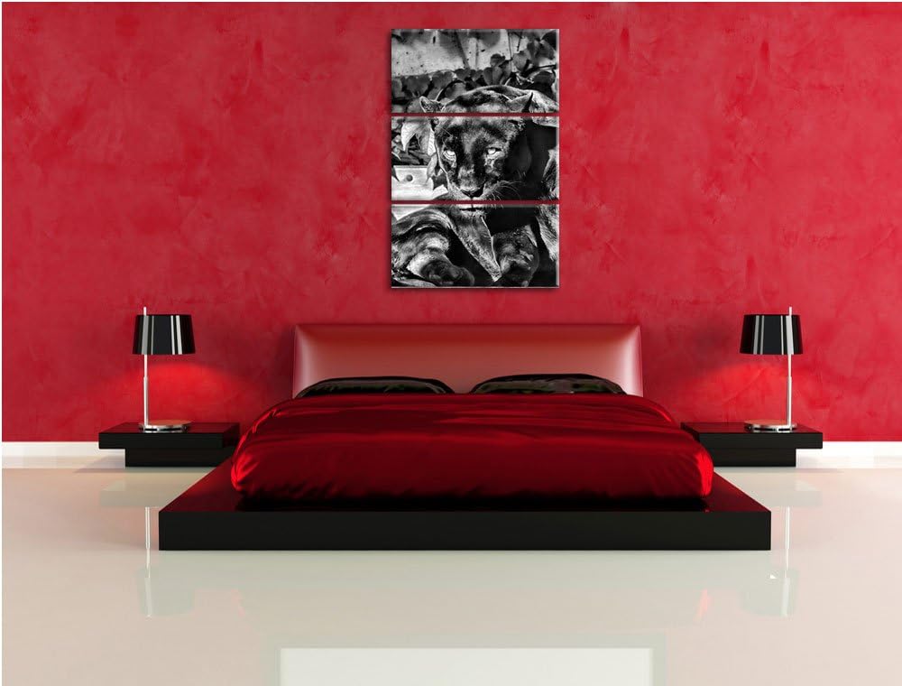 Pixxprint Monocrome, schwarzer Panther 3-Teiler Leinwandbild 120x80 Bild auf Leinwand