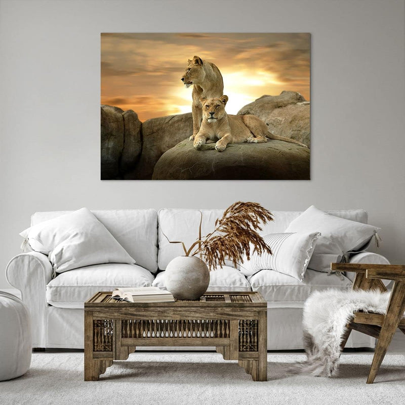 Bilder auf Leinwand 100x70cm Leinwandbild Löwen Sonnenuntergang Felsen Krallen Gross Wanddeko Bild S