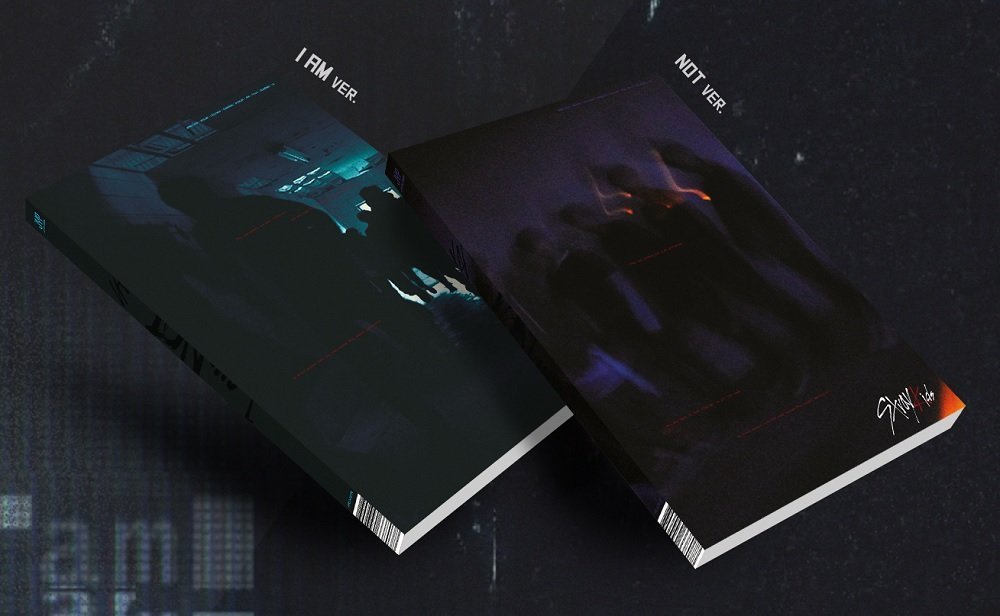 STRAY KIDS I Am Not (I Am Version) the First Mini Album Photobook + 3 Photocards + (extra 4 Photocar