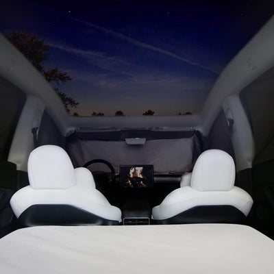 TESCAMP Tesla Model Y Vorhänge Auto Sichtschutz Windschutzscheibe Sonnenschutz für Camping Faltbares