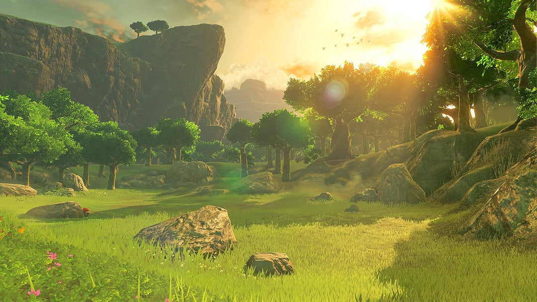 NINTENDO Legend of Zelda: Breath of The Wild