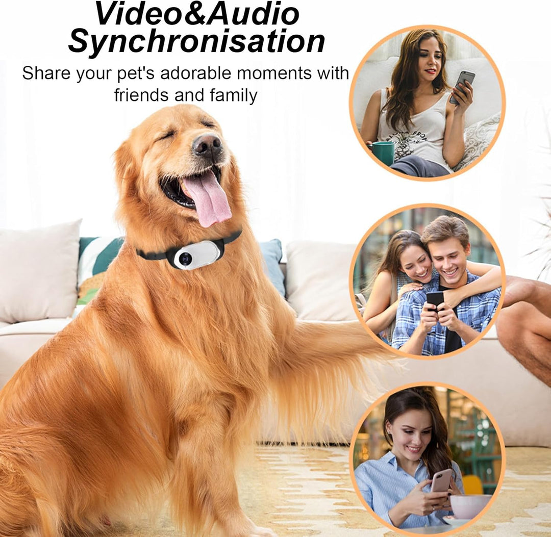 Haustierhalsband-Kamera,HD 1080P Katzen Kamera Halsband,170° Weitwinkel 0,96 Zoll LCD-Display,Multif