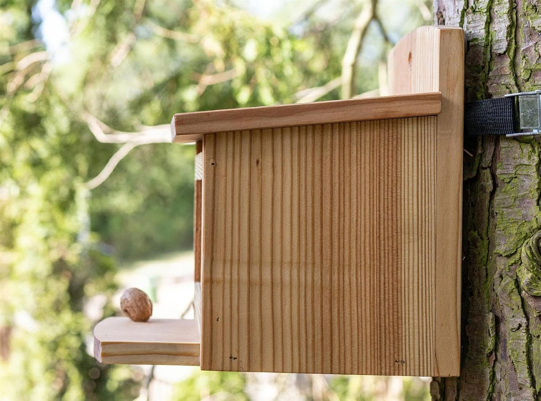 Eichhörnchen Futterhaus aus Lärchenholz – Mit integriertem Nussspender/Futterbox – Wetterfest & lang