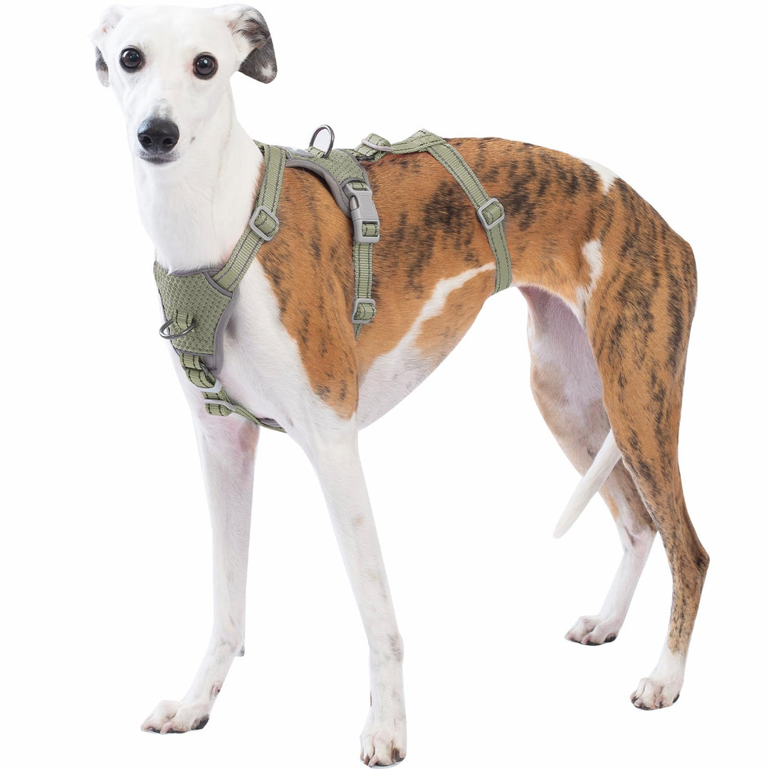 Huntboo Sicherheitsgeschirr Hund Ausbruchsicher, Panikgeschirr für Hunde, Anti Zug Hundegeschirr, Re