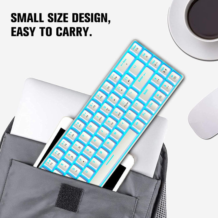 Tastatur und Maus Gaming Set, 68 Tasten Blauer Schalter 60% Mini Eisblaue Backlit Mechanische Tastat