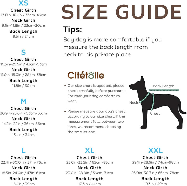 CITÉTOILE Schwimmweste Hunde Hai, Leicht und Sicher für Wassersport, hundeschwimmweste mit Griff und