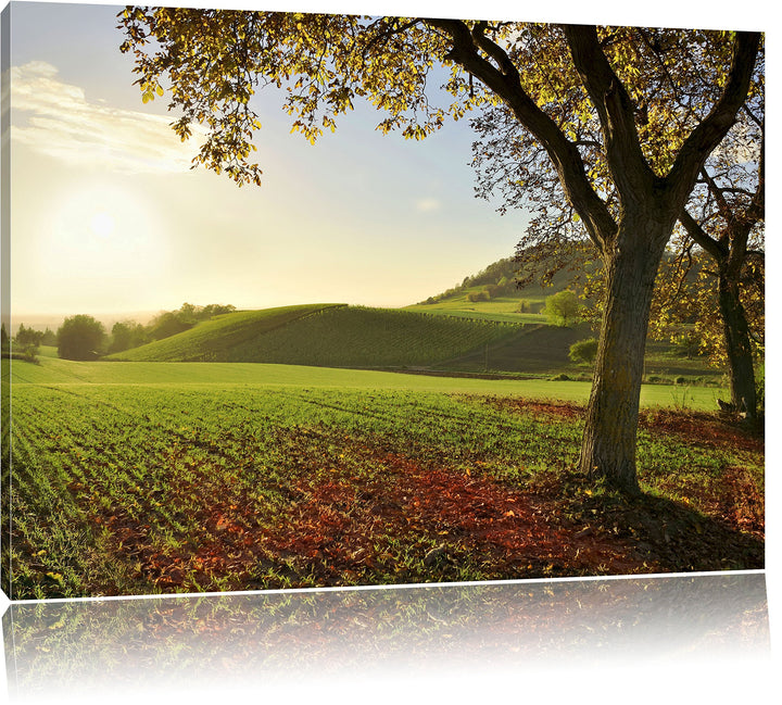 Landschaft im Herbst, Format: 100x70 auf Leinwand, XXL riesige Bilder fertig gerahmt mit Keilrahmen,