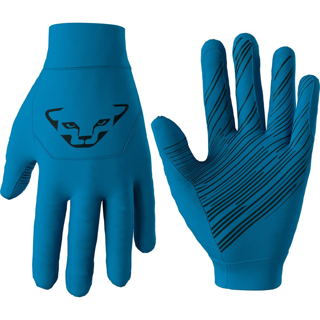 Dynafit Unisex Upcycled Speed Gloves Handschuhe, bunt, L