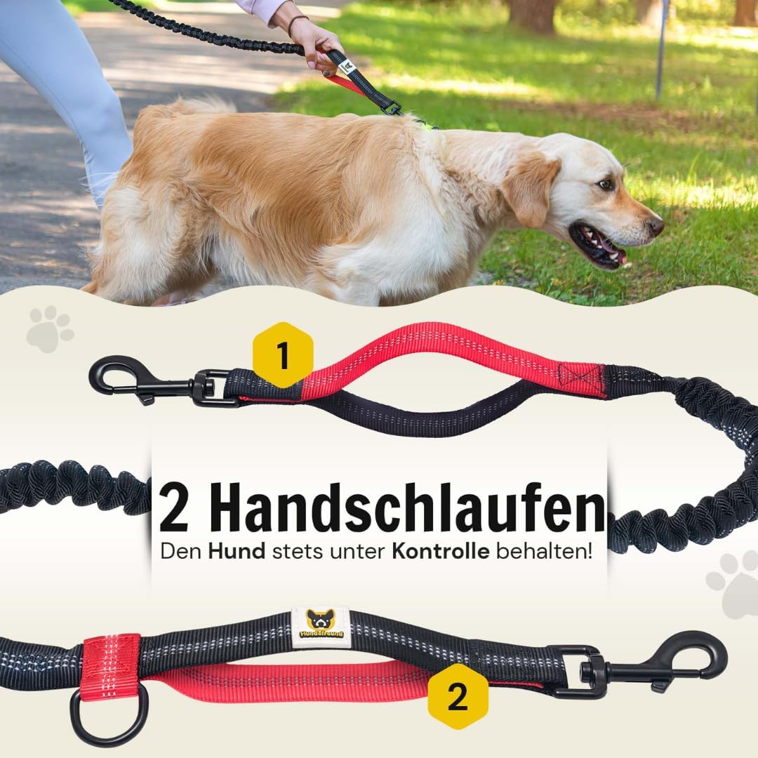 Joggingleine | Premium Hundeleine 120cm Bis 170cm | Elastisch Reflektierend Reissfest Gepolsterter B