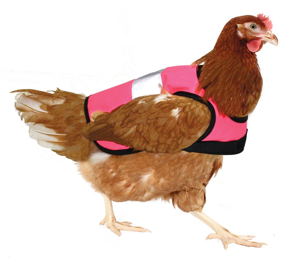 Omlet Warnweste für Hühner - Pink