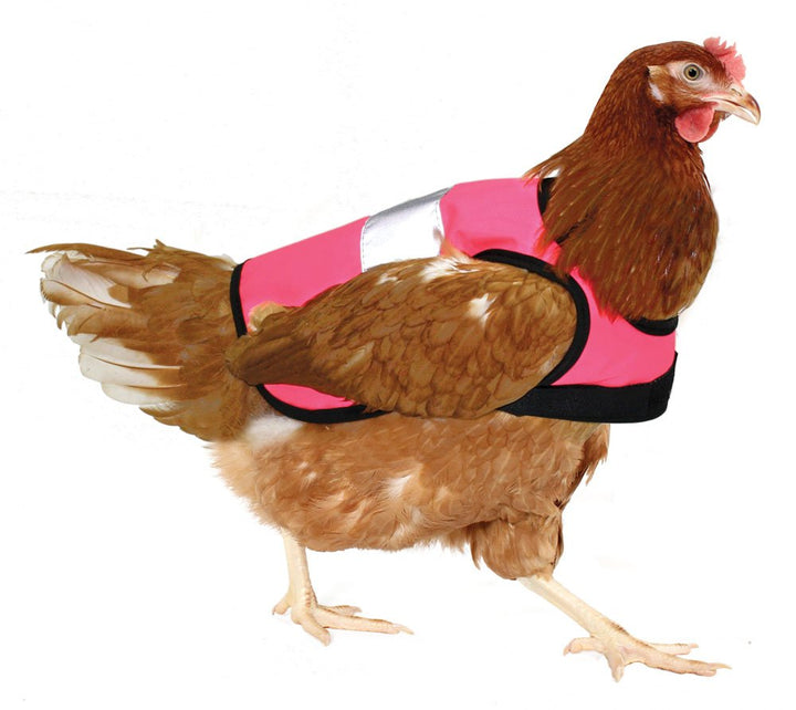 Omlet Warnweste für Hühner - Pink