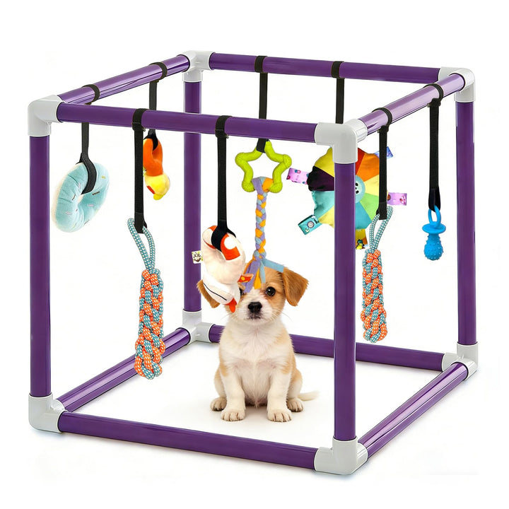 CISSIYOG Welpenspielstudio mit 8 Hängespielzeugen, Lila PVC-Rahmen Aktivitätszentrum für Kleine Hund