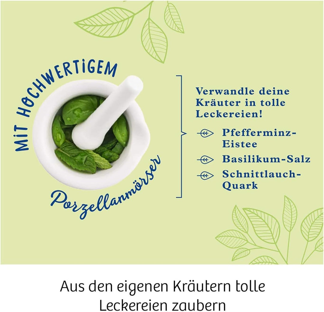 KOSMOS 632090 - Kräuter-Garten, Züchte duftende Kräuter auf der Fensterbank, Mit Gewächshaus und Mör