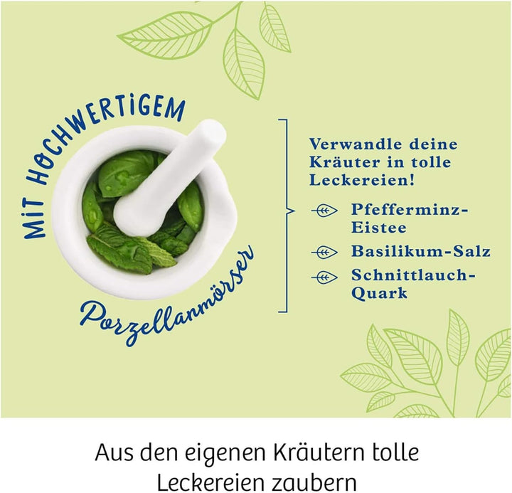 KOSMOS 632090 - Kräuter-Garten, Züchte duftende Kräuter auf der Fensterbank, Mit Gewächshaus und Mör