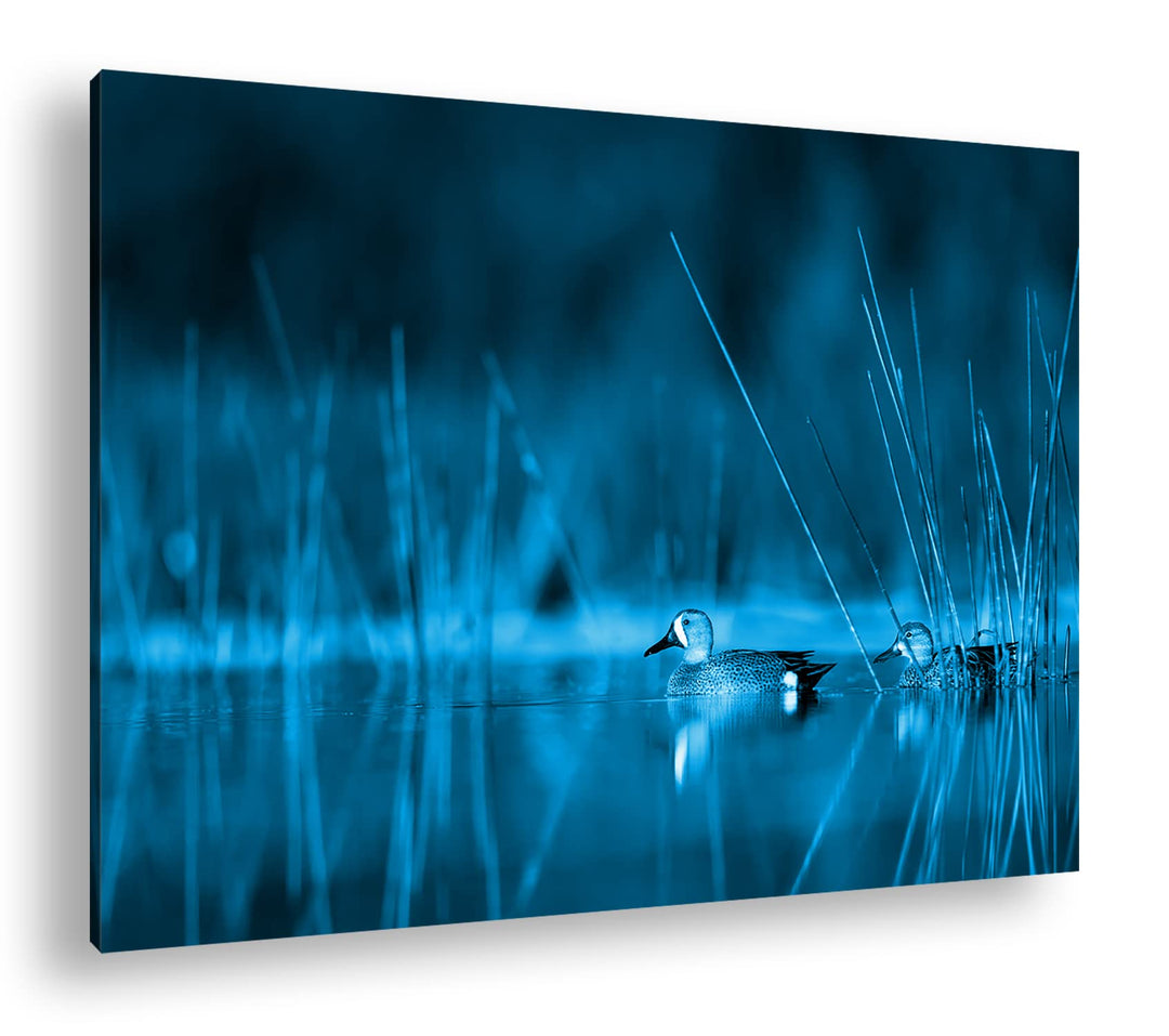 deyoli ruhige Enten auf einem See Format: 80x60 Effekt: Monocrome Blau als Leinwand, Motiv fertig ge