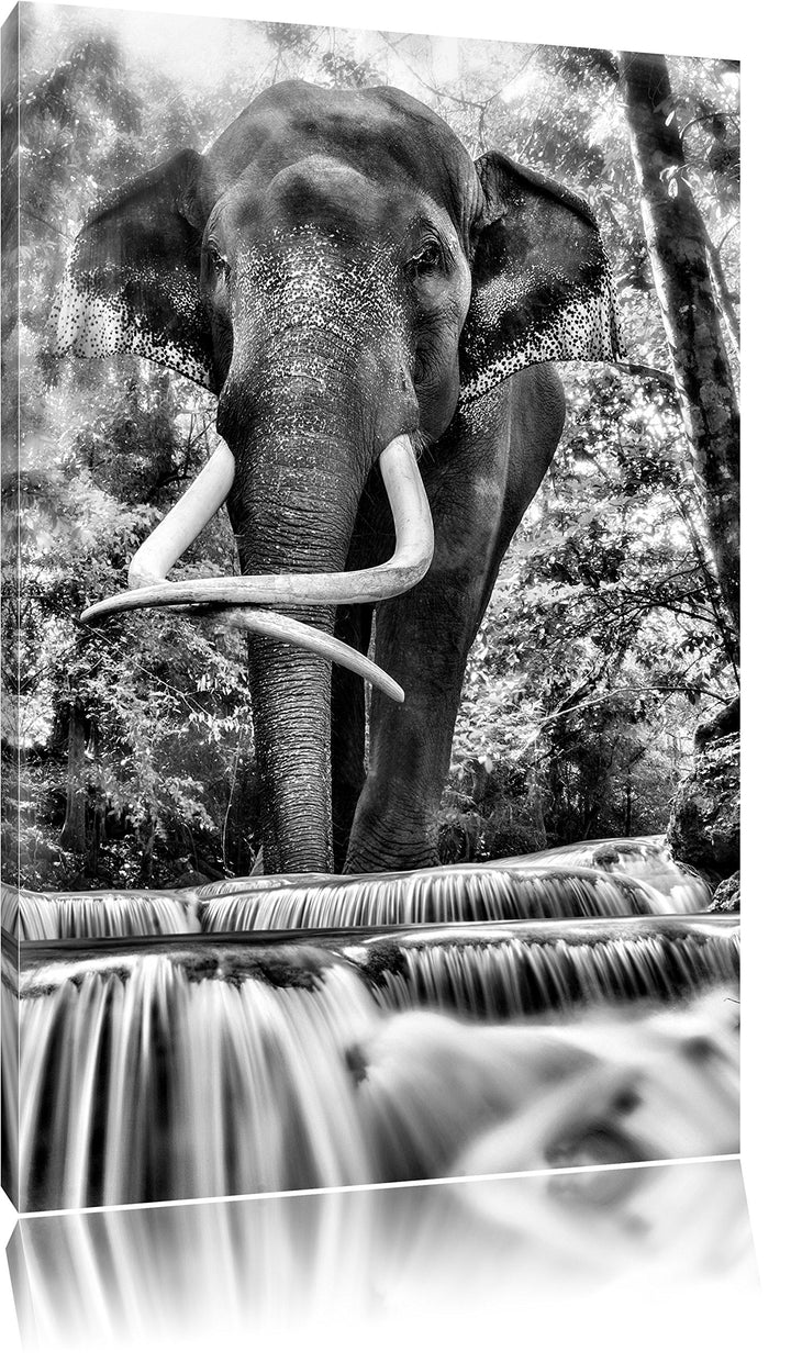 Pixxprint Elefant am Bach / 100x70cm Leinwandbild bespannt auf Holzrahmen/Wandbild Kunstdruck Dekora