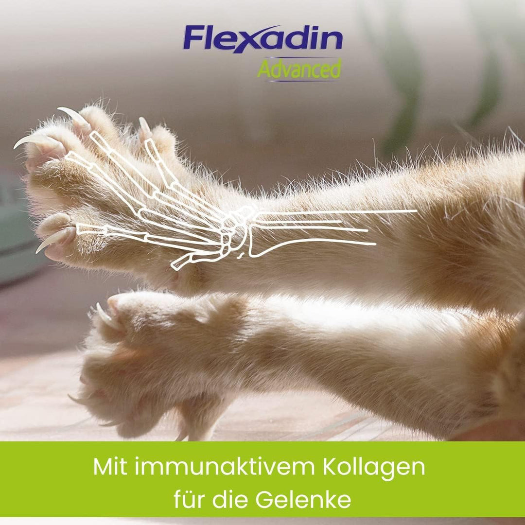 Flexadin Advanced für Katzen von Vetoquinol 60 Stück