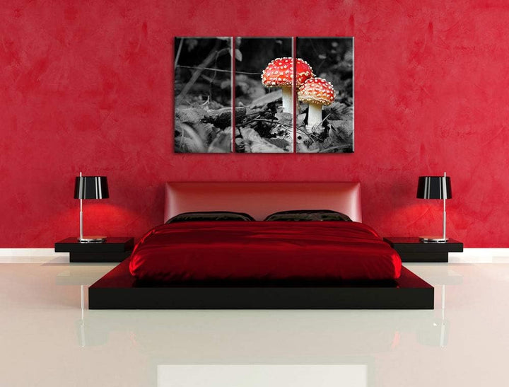 zwei kleine Fliegenpilze im Wald schwarz/weiss 3-Teiler Leinwandbild 120x80 Bild auf Leinwand, XXL r