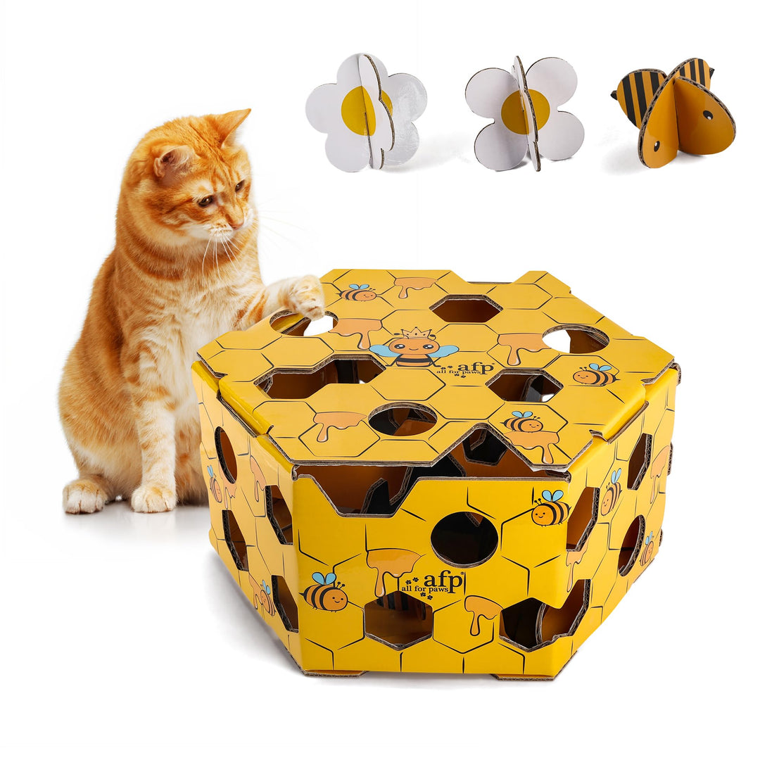 ALL FOR PAWS Katzen-Futter-Spielzeug, Interaktive Leckerli-Spielbox für Katzen, Futterlabyrinth-Box