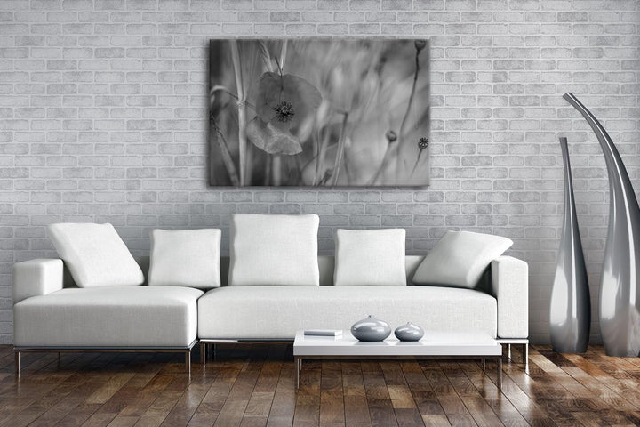 deyoli einzelne Mohnblume Format: 80x60 Effekt: Schwarz/Weiss als Leinwand, Motiv fertig gerahmt auf
