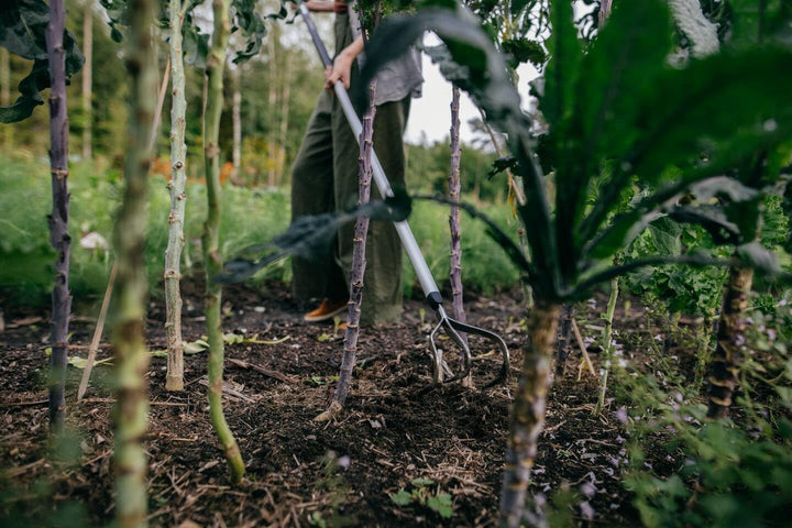 Fiskars Krümmer mit 3 Zinken, Für optimale Beetvorbereitung und -pflege, Länge: 172 cm, Breite: 14,8