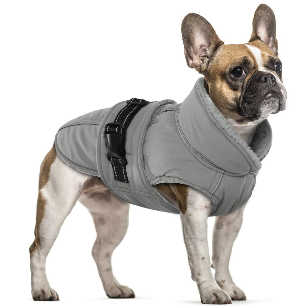 Hundejacke Kleine Hunde, Wintermantel Fleece für Hunde Hundemantel Wasserdicht Hundejacke Französisc