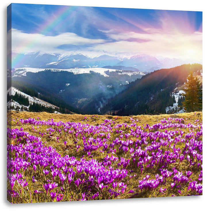 Pixxprint Berge mit Regenbogen als Leinwandbild/Grösse: 70x70 cm/Wandbild/Kunstdruck/fertig bespannt