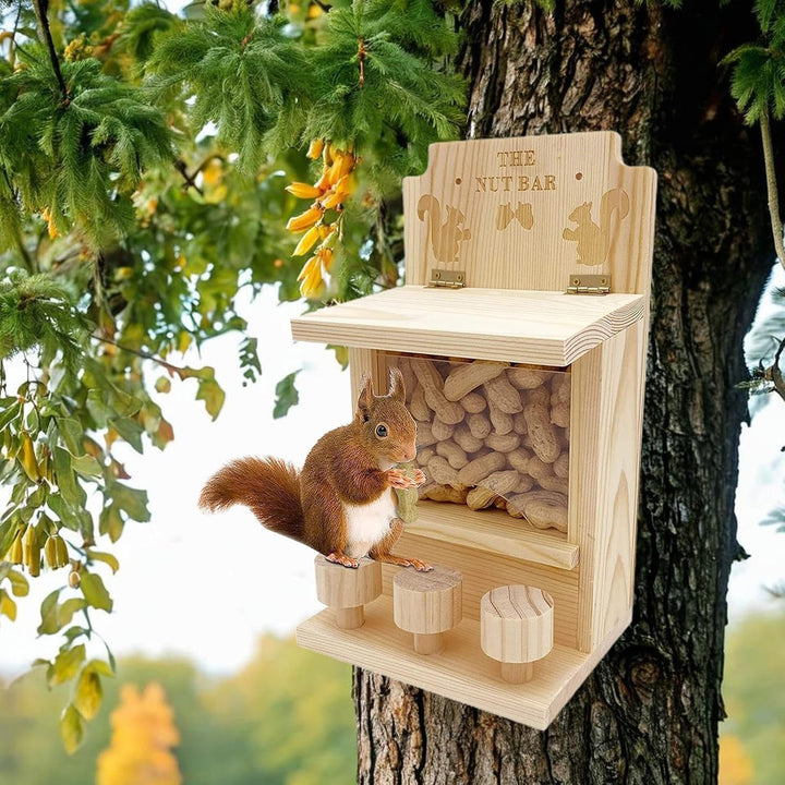 Eichhörnchen-Futterspender für den Aussenbereich,Eichhörnchen-Futterspender für Bäume, 3 Hocker Eich