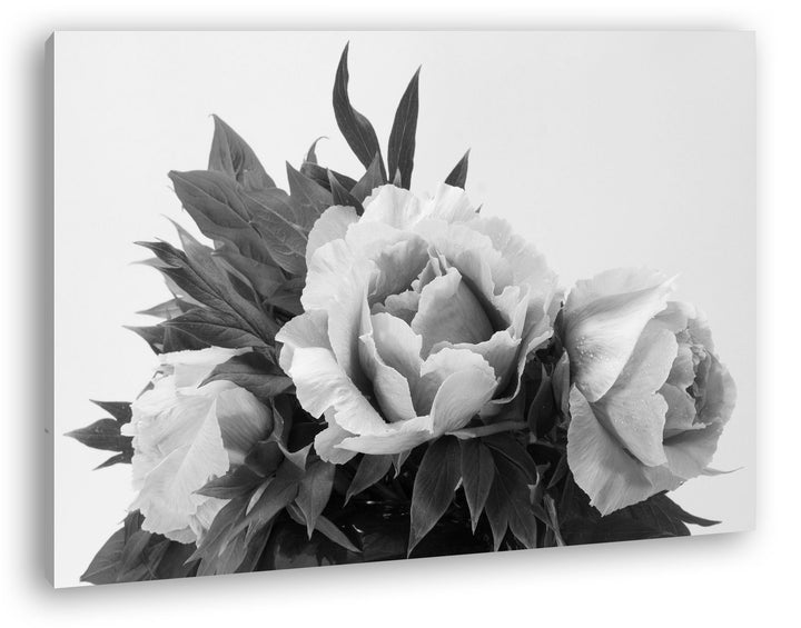 deyoli schöner Blumenstrauss mit Pfingstrosen Effekt: Schwarz/Weiss im Format: 60x40 als Leinwandbil